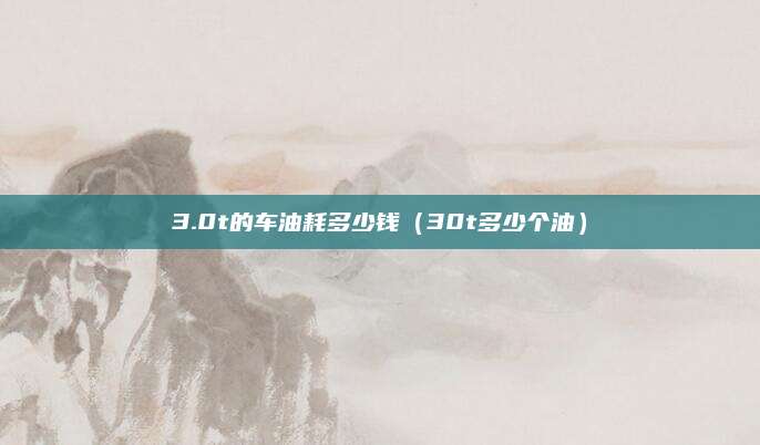 3.0t的车油耗多少钱(30t多少个油)