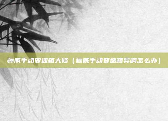 骊威手动变速箱大修(骊威手动变速箱异响怎么办)