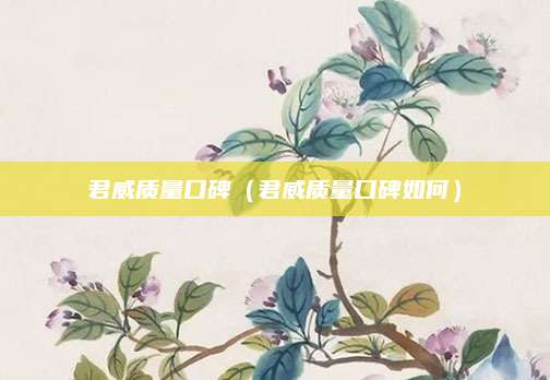 君威质量口碑(君威质量口碑如何)