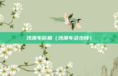 沙漠车价格(沙漠车多少钱)