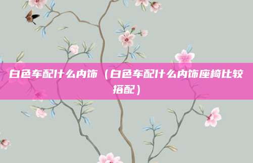 白色车配什么内饰(白色车配什么内饰座椅比较搭配)