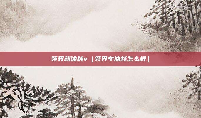 领界就油耗v(领界车油耗怎么样)