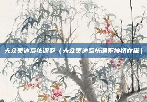 大众奥迪系统调整(大众奥迪系统调整按钮在哪)