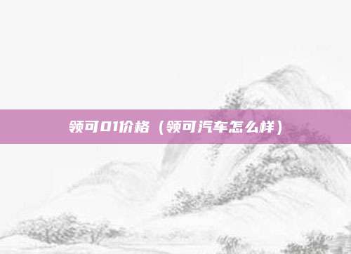 领可01价格(领可汽车怎么样)
