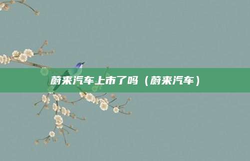蔚来汽车上市了吗(蔚来汽车)