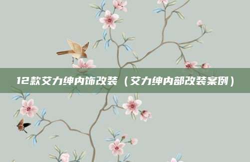 12款艾力绅内饰改装（艾力绅内部改装案例）