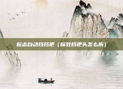 标志自动挡档把(标致档把头怎么拆)