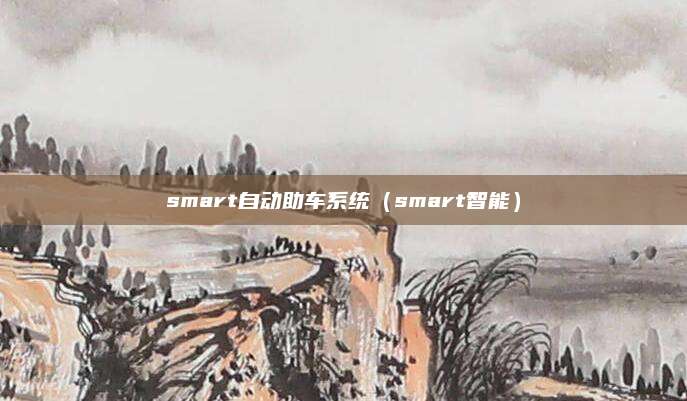 smart自动助车系统(smart智能)