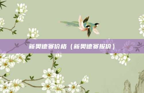 新奥德赛价格(新奥德赛报价)
