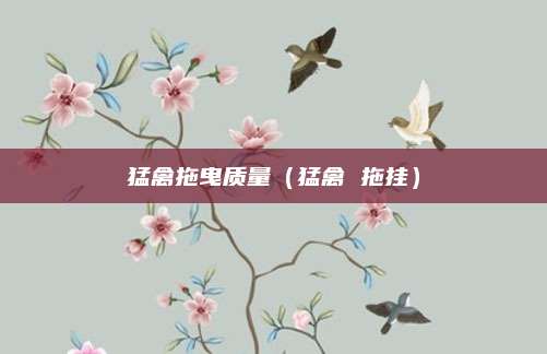 猛禽拖曳质量(猛禽 拖挂)
