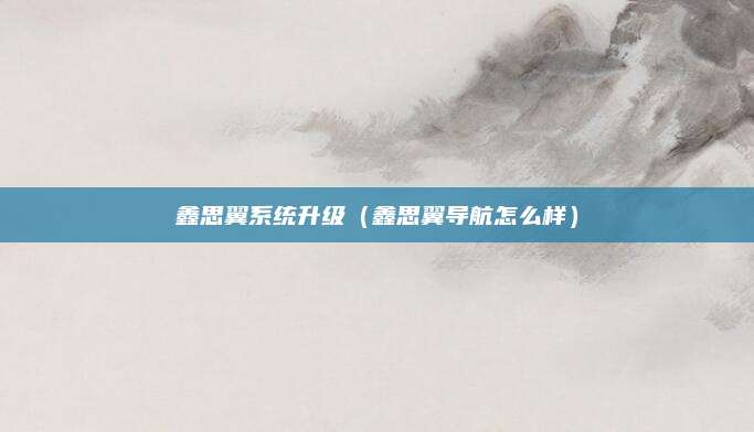 鑫思翼系统升级(鑫思翼导航怎么样)