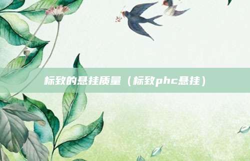 标致的悬挂质量(标致phc悬挂)