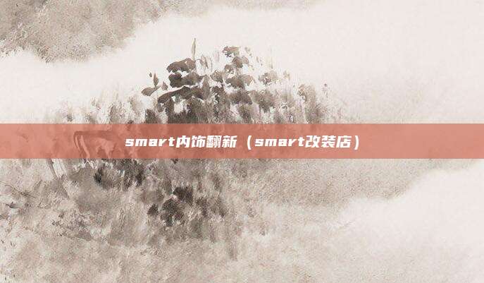 smart内饰翻新(smart改装店)