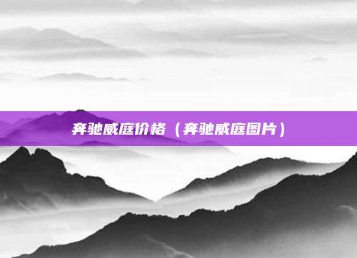 奔驰威庭价格(奔驰威庭图片)
