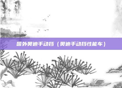 国外奥迪手动挡(奥迪手动挡性能车)