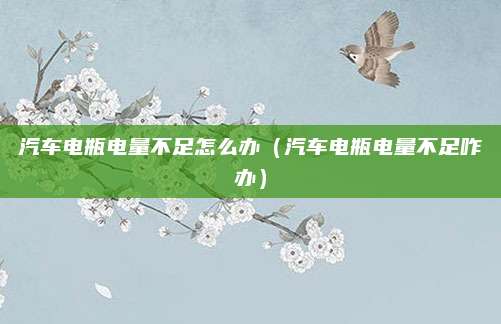 汽车电瓶电量不足怎么办（汽车电瓶电量不足咋办）