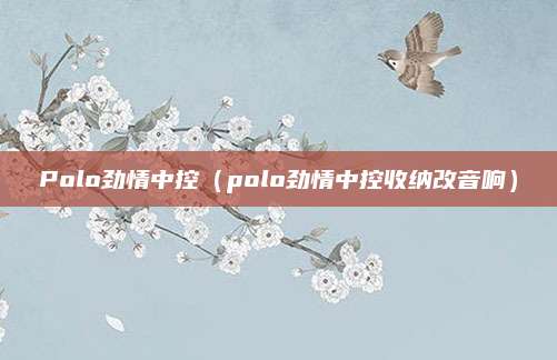 Polo劲情中控(polo劲情中控收纳改音响)