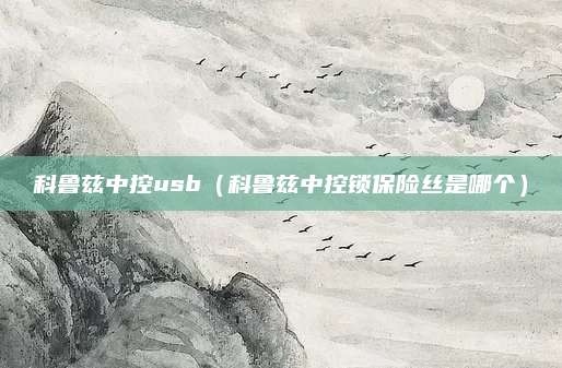科鲁兹中控usb(科鲁兹中控锁保险丝是哪个)