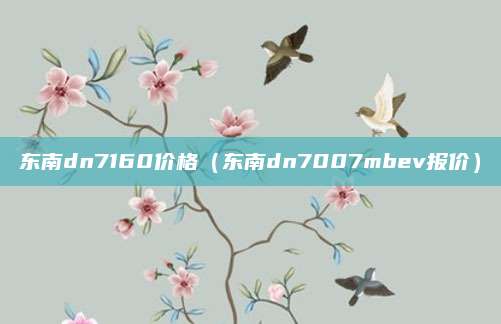 东南dn7160价格(东南dn7007mbev报价)