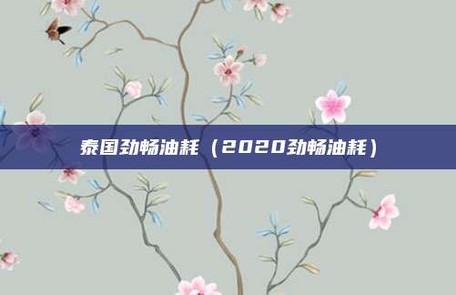 泰国劲畅油耗(2020劲畅油耗)