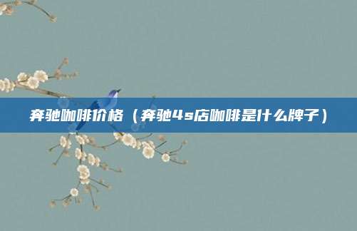奔驰咖啡价格(奔驰4s店咖啡是什么牌子)