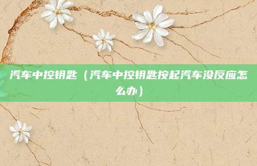 汽车中控钥匙(汽车中控钥匙按起汽车没反应怎么办)