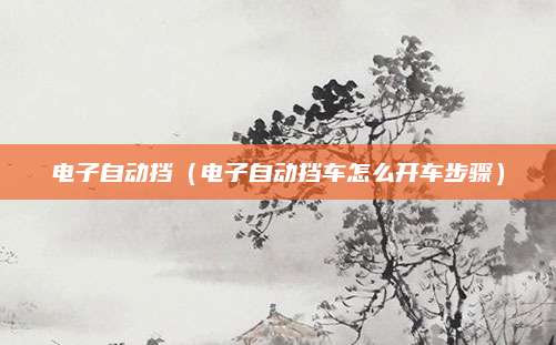 电子自动挡(电子自动挡车怎么开车步骤)