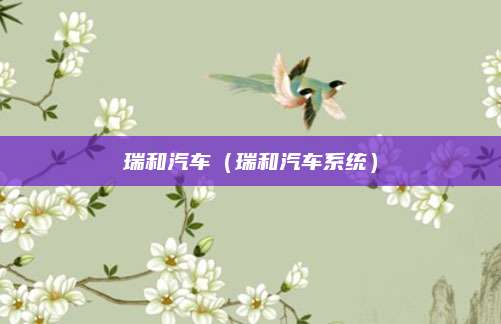 瑞和汽车(瑞和汽车系统)