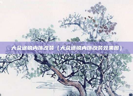 大众途锐内饰改装(大众途锐内饰改装效果图)