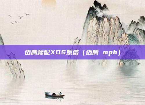 迈腾标配XDS系统(迈腾 mph)