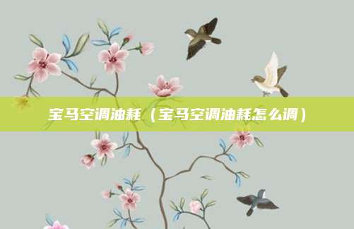 宝马空调油耗(宝马空调油耗怎么调)