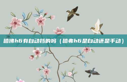 哈佛h6有自动挡的吗(哈弗h6是自动还是手动)