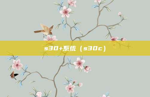 s30+系统(s30c)