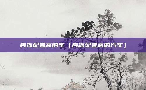 内饰配置高的车(内饰配置高的汽车)