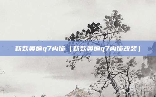 新款奥迪q7内饰（新款奥迪q7内饰改装）