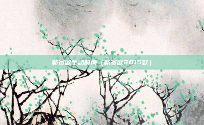 新赛欧手动时尚(新赛欧2015款)