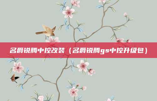 名爵锐腾中控改装(名爵锐腾gs中控升级包)