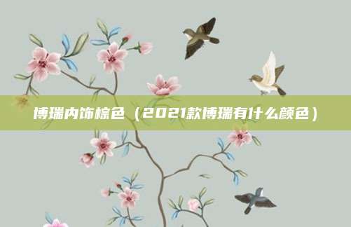 博瑞内饰棕色(2021款博瑞有什么颜色)