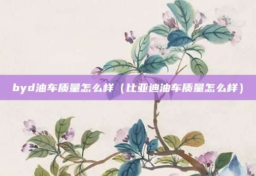 byd油车质量怎么样(比亚迪油车质量怎么样)