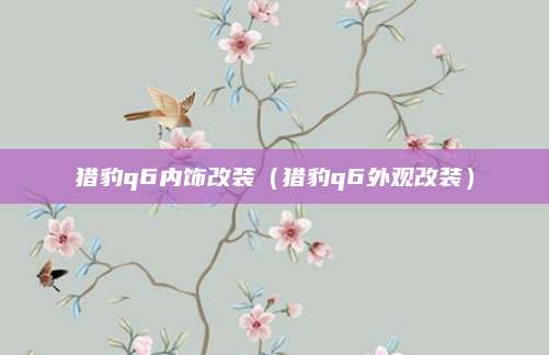 猎豹q6内饰改装(猎豹q6外观改装)