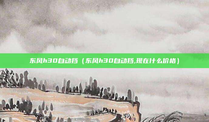 东风h30自动挡(东风h30自动挡,现在什么价格)