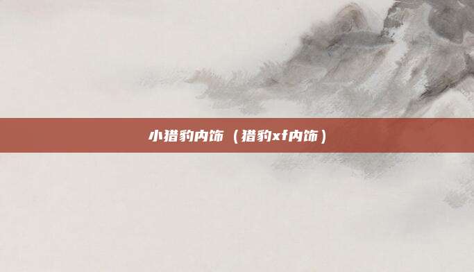 小猎豹内饰(猎豹xf内饰)