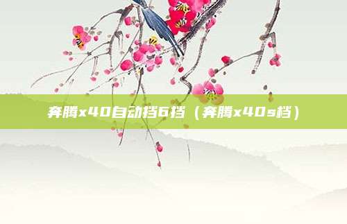 奔腾x40自动挡6挡(奔腾x40s档)