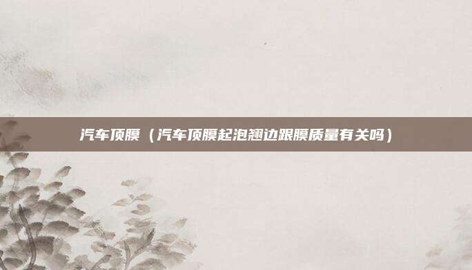 汽车顶膜(汽车顶膜起泡翘边跟膜质量有关吗)