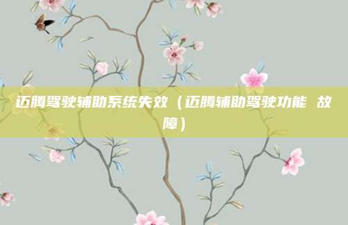 迈腾驾驶辅助系统失效(迈腾辅助驾驶功能 故障)
