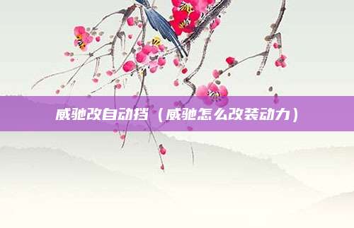 威驰改自动挡（威驰怎么改装动力）