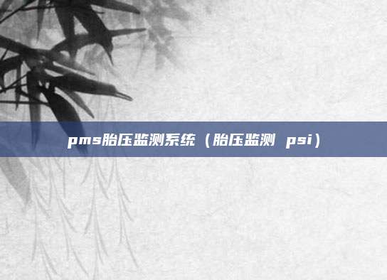 pms胎压监测系统(胎压监测 psi)