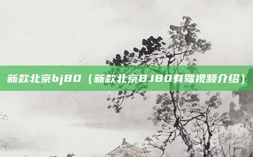 新款北京bj80(新款北京BJ80有驾视频介绍)