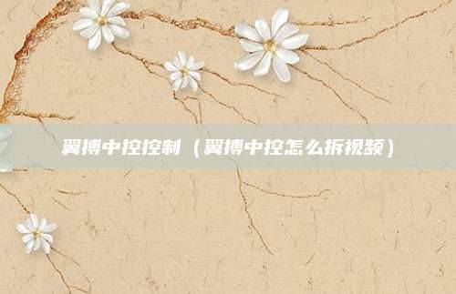 翼搏中控控制(翼搏中控怎么拆视频)