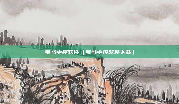 宝马中控软件(宝马中控软件下载)